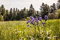 2015_05_12 (0038)